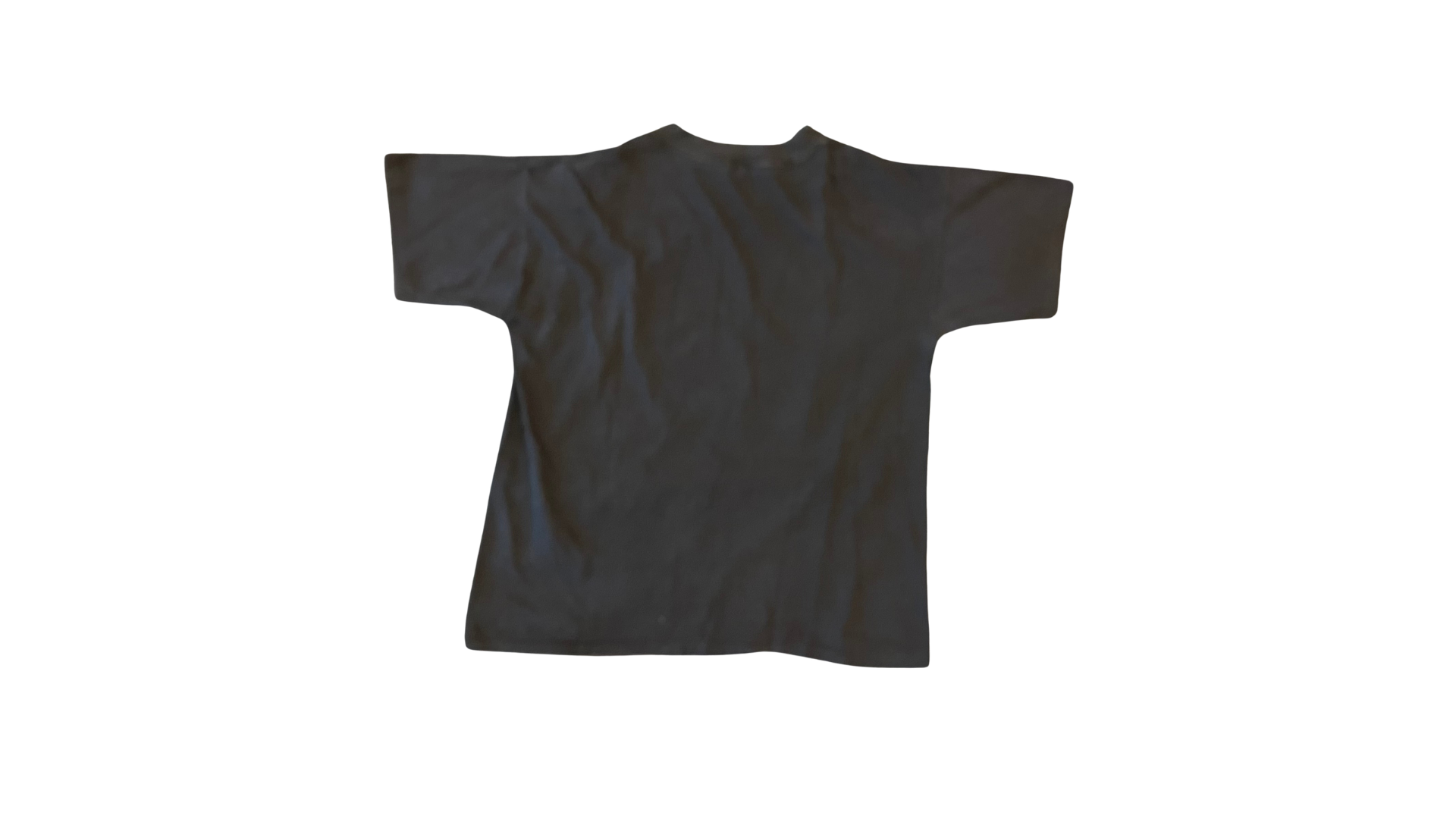 Dale Earnhardt T-Shirt